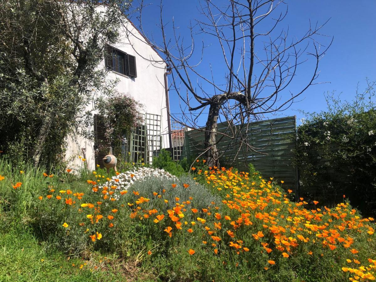 House Of The Three Marias Bed and Breakfast Pedrogao Grande Eksteriør billede